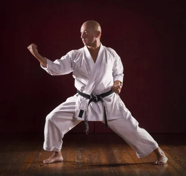 Martial Arts Meester Tentoonstelling — Stockfoto