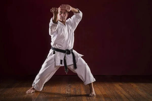 Martial Arts Meester Tentoonstelling — Stockfoto