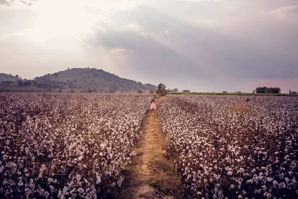 Güzel küçük kız uzun saçlı ve pembe elbise ayakta uzanmış kolları olan pamuk alanındaki