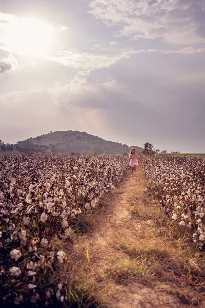 Güzel küçük kız uzun saçlı ve pamuk alanında çalışan pembe elbise kız.