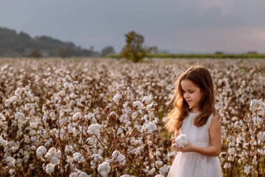 Uzun saçlı ve pamuk alanındaki beyaz elbiseli güzel küçük kız.