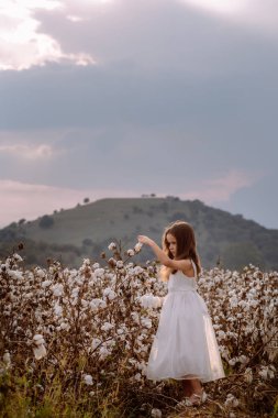 Uzun saçlı ve pamuk alanındaki beyaz elbiseli güzel küçük kız.