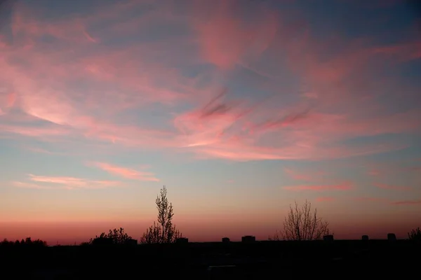 Gün Batımı Gökyüzünde Ilginç Formları Pembe Bulutlar — Stok fotoğraf
