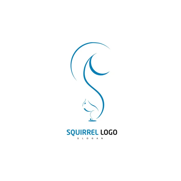 Squirrel Logo Design Vector — Stock Vector