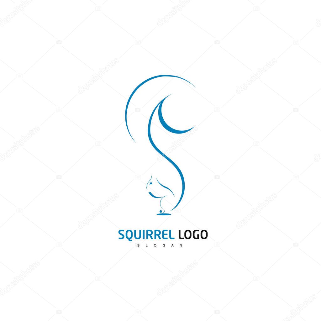 Squirrel Logo Design Vector