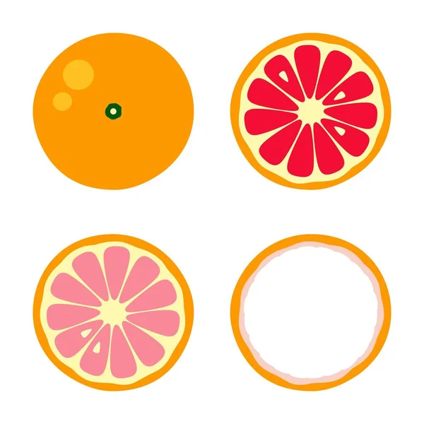 Beyaz Arka Planda Portakallı Greyfurt Limonu Yaz Meyveleri Turunçgillerin Vektör — Stok Vektör