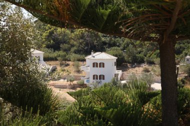 Kasabayı dolaş. Bu adanın doğası ve mimarisinin izlenimleri. Akdeniz, Avrupa'nın Güneyi, Yunanistan, Skopelos Adası.