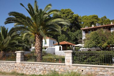 Kasabayı dolaş. Bu adanın doğası ve mimarisinin izlenimleri. Akdeniz, Avrupa'nın Güneyi, Yunanistan, Skopelos Adası.