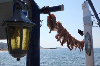 Ahtapotun parçaları güneşin altında açık havada kurutulur. Akdeniz, Avrupa'nın Güneyi, Yunanistan, Skopelos Adası.