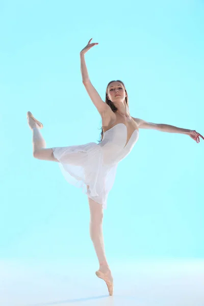 Elegante Retrato Joven Bailarina Mujer Belleza Posando Fondo Del Estudio — Foto de Stock