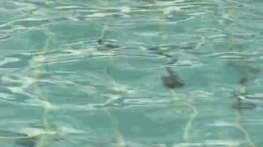 Yüzme havuzunda dalgalı su yüzeyi, yakın görüş 