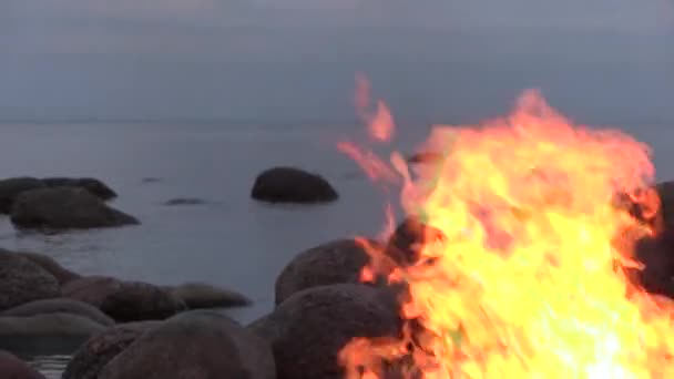 Closeup Campfire Sandy Beach Evening Time — Stock Video