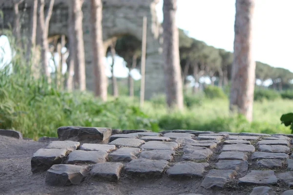 Antika Romerska Vägen Vackra Akvedukten Park Appia Rom Stockfoto