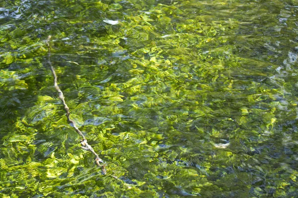 Зеленые Отражения Озере — стоковое фото