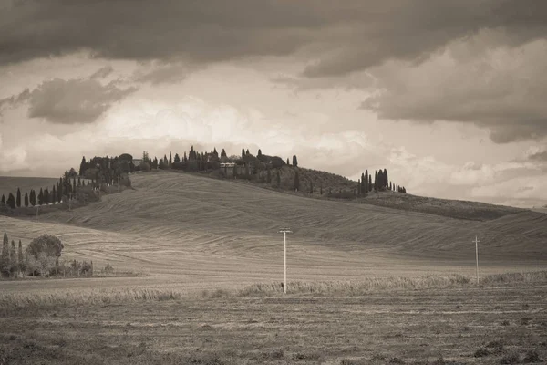 Land Landschap Van Toscane Zwart Wit — Stockfoto