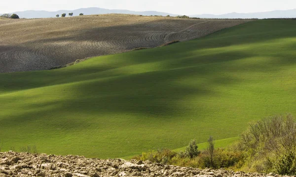 Landsbygdslandskap Toscana Med Grön Kontrast — Stockfoto