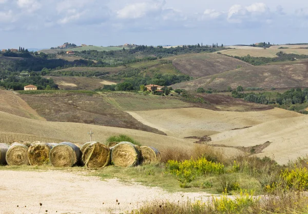 Contrast Van Het Toscaanse Landschap Herfst Met Textuur — Stockfoto