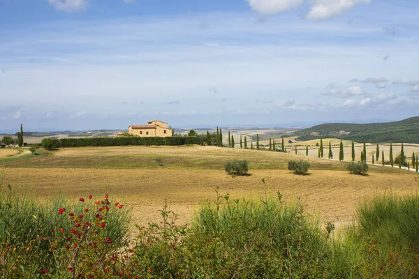 Landskap Toscana Höst — Stockfoto