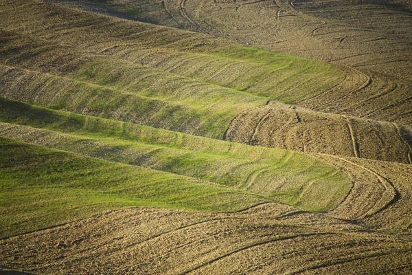 Contraste Del Paisaje Toscano Otoño Con Textura —  Fotos de Stock