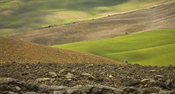 Kontrasten Toscanas Landskap Höst Med Textur — Stockfoto
