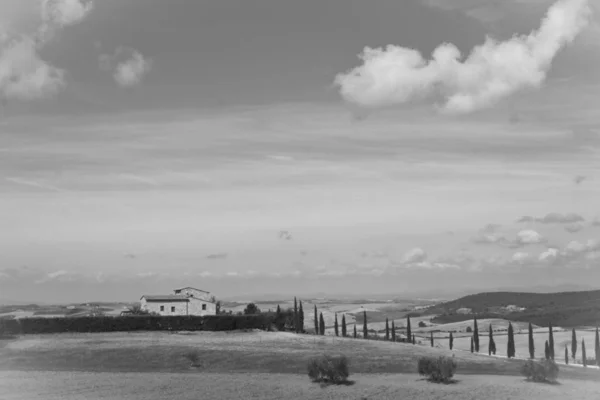 Paesaggio Toscano Bianco Nero — Foto Stock