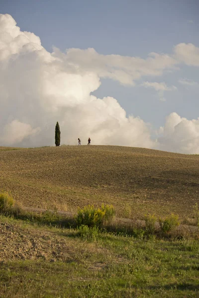 Lantlig Natur Toscana Med Cypressträ — Stockfoto