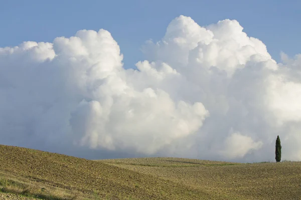 Landelijk Landschap Toscane Met Cipressen — Stockfoto