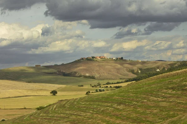 Scenario Rurale Toscana Con Cipresso — Foto Stock