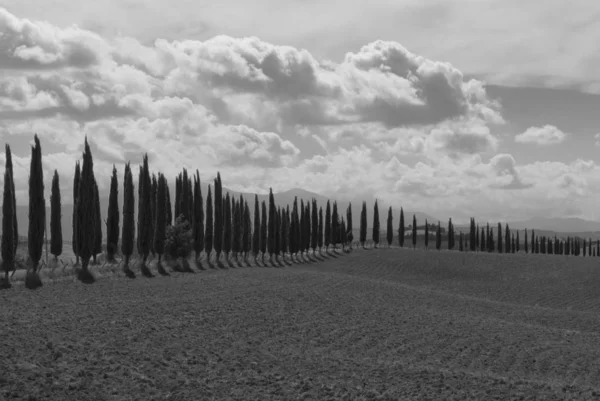 Landelijk Landschap Toscane Zwart Wit — Stockfoto