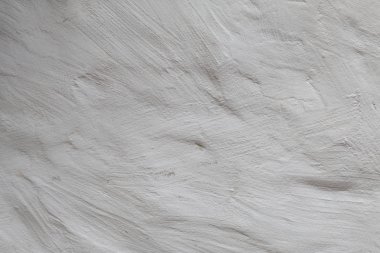 Beyaz duvar kaba düzensiz dokulu arka plan olarak kireçlenerek. Ekoloji kavramı