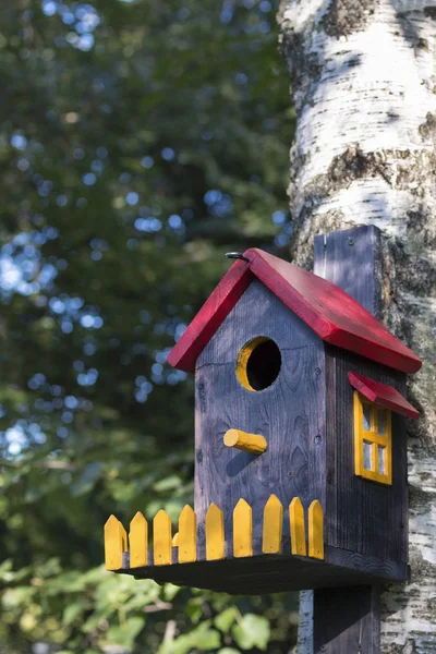 Casa Degli Uccelli Con Finestra Recinzione Betulla — Foto Stock