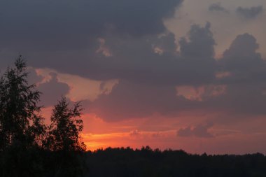 Kent Ormanı karanlık silüeti üzerinde mistik morumsu kırmızı günbatımı