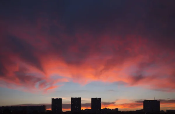 Mystisch Purpurroten Sonnenuntergang Über Der Dunklen Silhouette Der Stadt Unglaublich — Stockfoto