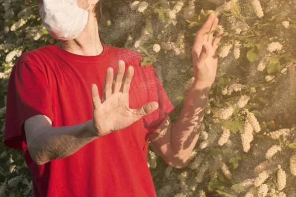 A man in a medical mask shows Stop gesture to a tree flowers, an allergen. Man wearing a red T shirt