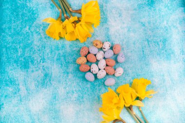 Açık mavi renkli Paskalya çikolata Bıldırcın yumurta.