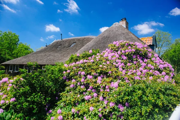 Blick auf das berühmte Dorf Giethoorn mit Kanälen in der Provinz — Stockfoto