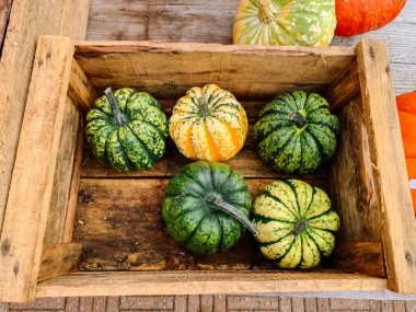 Şükran portakal kabakve çiçekler ile Sonbahar dekorasyon 