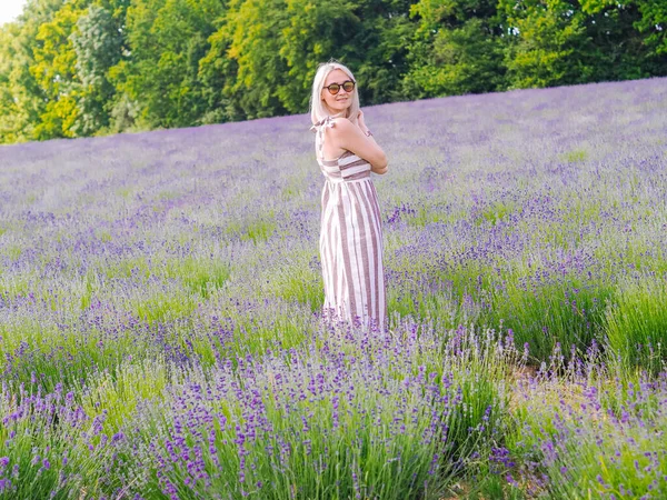 Beautiful Blond Woman Dress Sit Lavender Fields Provence Violet Lavender — Stock Photo, Image