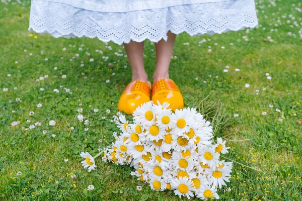 Bouquet beautiful white daisies in summer garden. Chamomiles in green grass. Women wearing in white dress and traditional dutch wooden shoes - yellow clogs klompen on background bouquet of flowers. — Stock Photo, Image