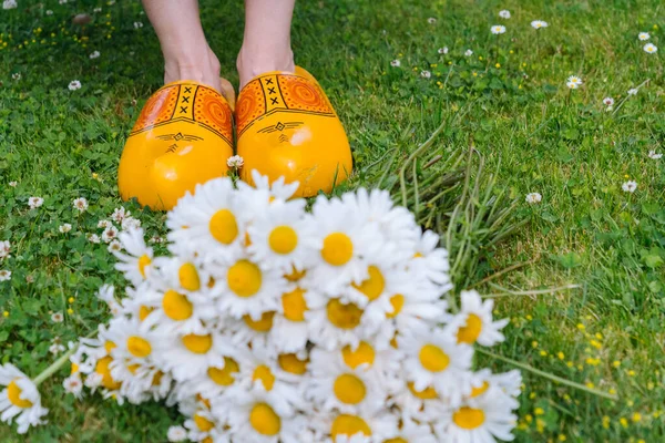Bukiet piękne białe stokrotki w ogrodzie letnim. Rumianek w zielonej trawie. Kobiety ubrane w białą sukienkę i tradycyjne holenderskie drewniane buty - żółte klocki klompen na tle bukiet kwiatów. — Zdjęcie stockowe