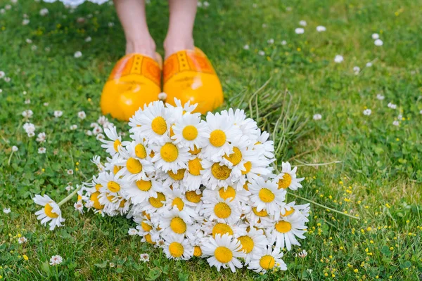 夏の庭で花束美しい白いデイジー 緑の草の中のカモミール 白いドレスと伝統的なオランダの木製の靴を身に着けている女性 花の背景花束に黄色の服 Klompen — ストック写真