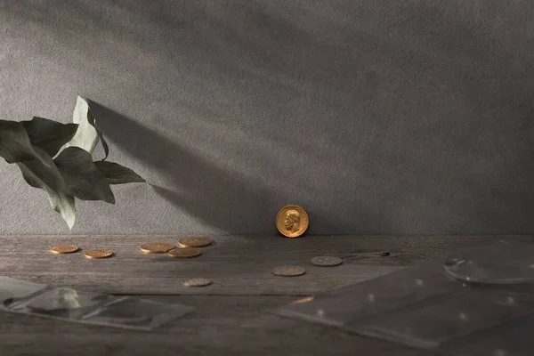 Numismatikler. Tahta bir masanın üzerinde gümüş, altın ve bakırdan yapılmış eski koleksiyon paraları. Üst Manzara. Metninizin alanını kopyala.