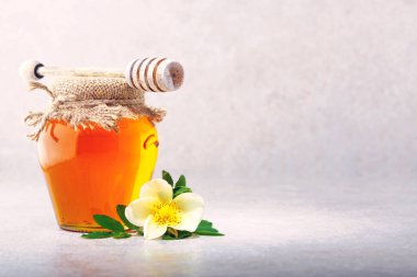 Bal geçmişi. Cam kavanozda tatlı bal. Açık gri arkaplan