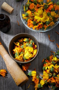 Calendula. Ahşap arka planda Marigold çiçek yaprağı üst görünümü. Calendula fincanı (Marigold çiçeği) yaprak doğal yaz çiçeği. Calendula officinalis tıbbi bitki yaprakları ve bitki yaprakları - sağlıklı konsept
