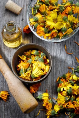 Calendula. Ahşap arka planda Marigold çiçek yaprağı üst görünümü. Calendula fincanı (Marigold çiçeği) yaprak doğal yaz çiçeği. Calendula officinalis tıbbi bitki yaprakları ve bitki yaprakları - sağlıklı konsept
