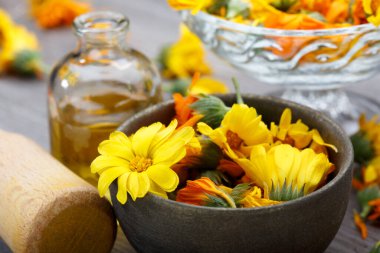 Calendula. Ahşap arka planda Marigold çiçek yaprağı üst görünümü. Calendula fincanı (Marigold çiçeği) yaprak doğal yaz çiçeği. Calendula officinalis tıbbi bitki yaprakları ve bitki yaprakları - sağlıklı konsept