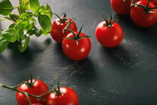 Frische Reife Gartentomaten Und Basilikum Auf Holztisch — Stockfoto