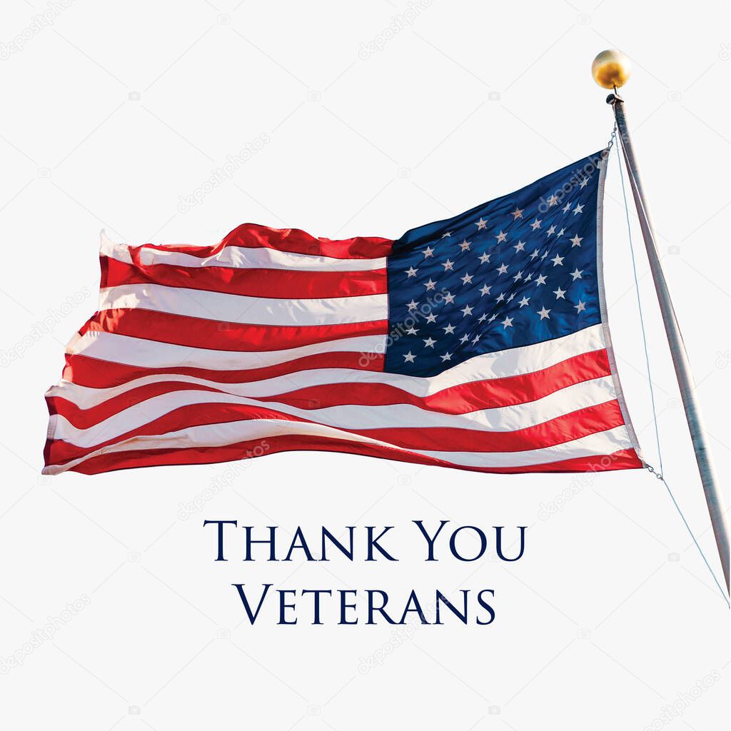 Thank You Veterans holiday banner with American Flag. Vector illustration