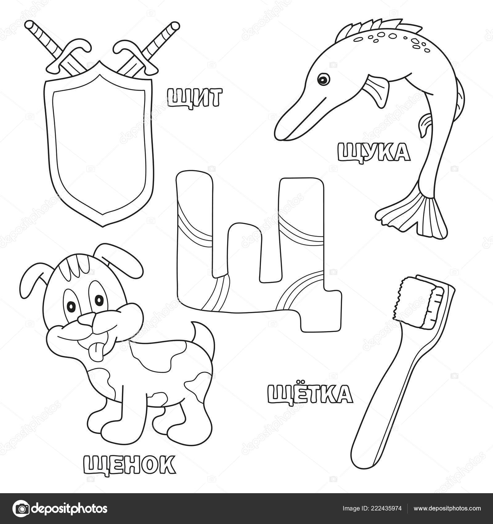Download Alphabet Letter With Russian Pictures Of The Letter Coloring Book For Kids Vector Image By C Brill Vector Stock 222435974