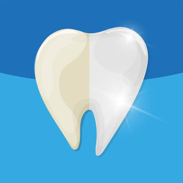 Профессиональное отбеливание зубов, здоровый и желтый зуб, векторная иллюстрация — стоковый вектор